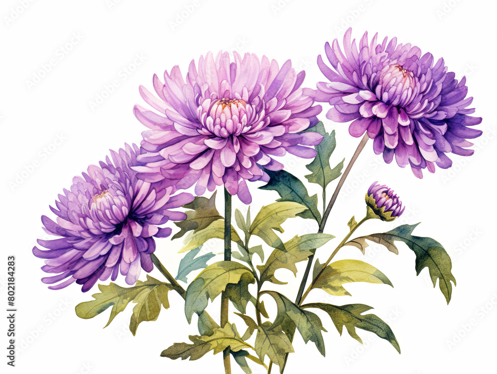 Watercolor painting of A painting of three purple flowers with green leaves