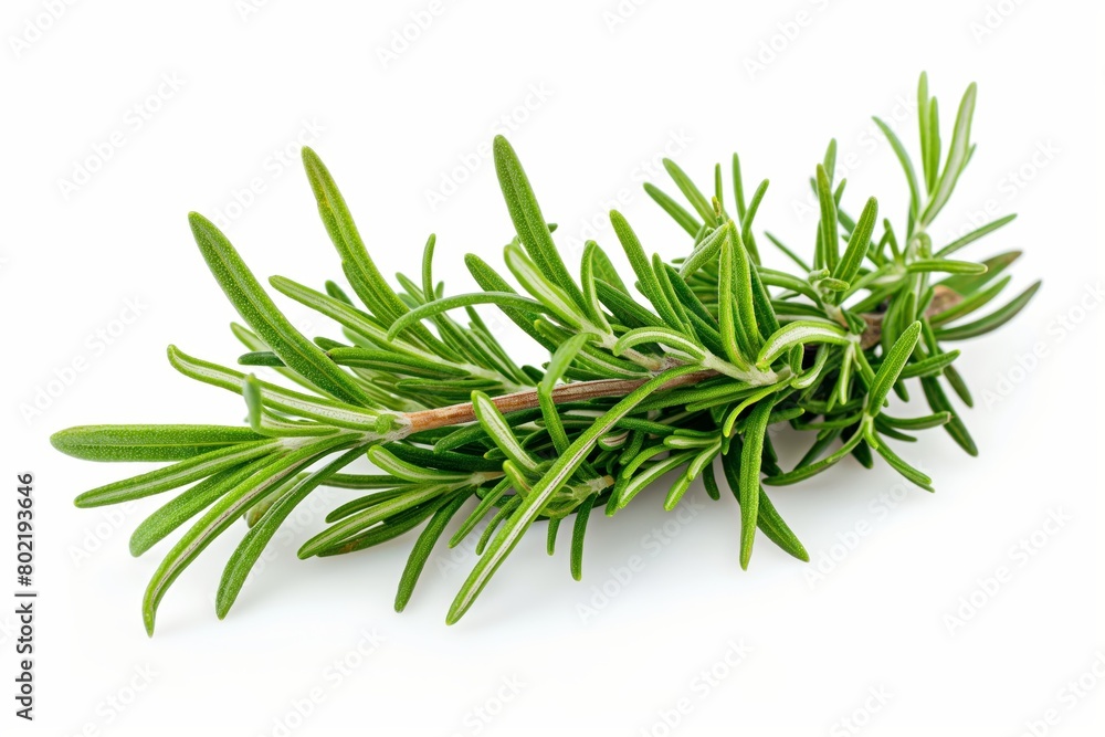A vibrant sprig of fresh rosemary on a white background, symbolizing natural ingredients and health