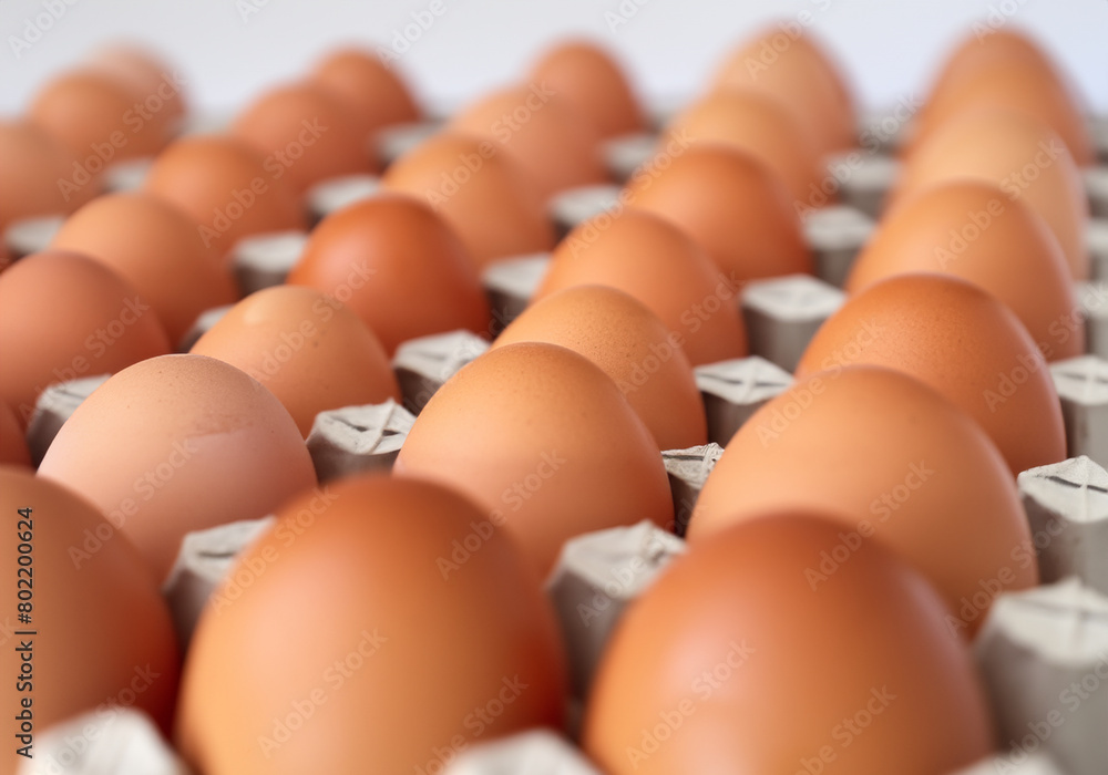 Brown eggs in carton on white background Brown eggs in carton on white background