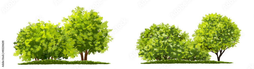 Fototapeta premium Vertor set of green tree,plants side view for landscape elevations,element for backdrop,eco environment concept design,watercolor greenery scene