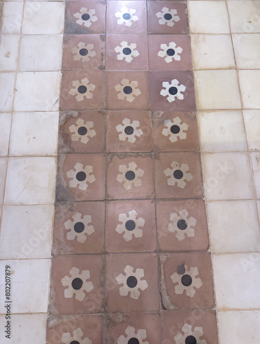 Traditional Patterned Floor Tiles in Rustic Style © F.C.G.