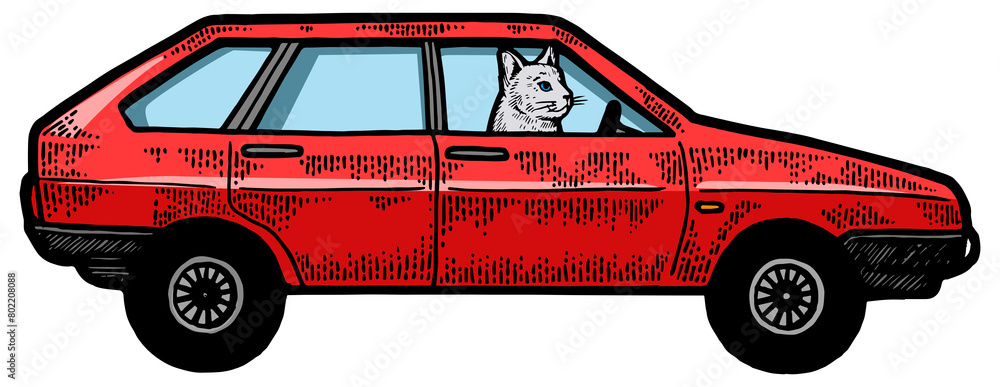 Cat driving car color sketch engraving PNG illustration. Scratch board ...