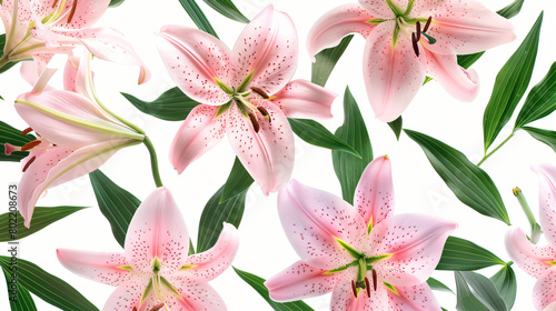 Collage of beautiful pink lilies on white background -