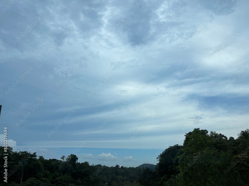 Low angle view of trees against sky. Beautiful view of trees against blue sky. Low angle view of trees against sky. Beautiful view of trees against blue sky.