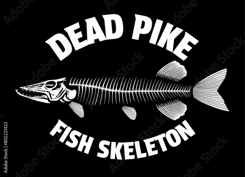 Dead Pike Fish Skeleton Illustration Concept