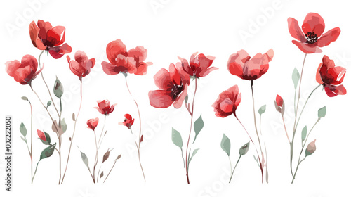 Vector Watercolor Floral Clipart Wild Red Flowers Minimalist