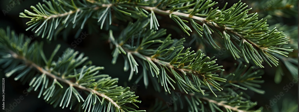 a close-up illustration of the intricate patterns and textures found in green juniper leaves.