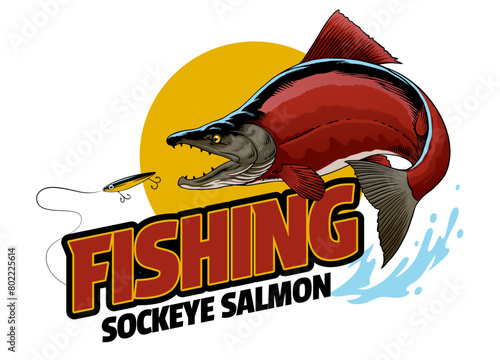 Fishing Sockeye Salmon Jumping Out of Water, Suitable for Print Design (ID: 802225614)