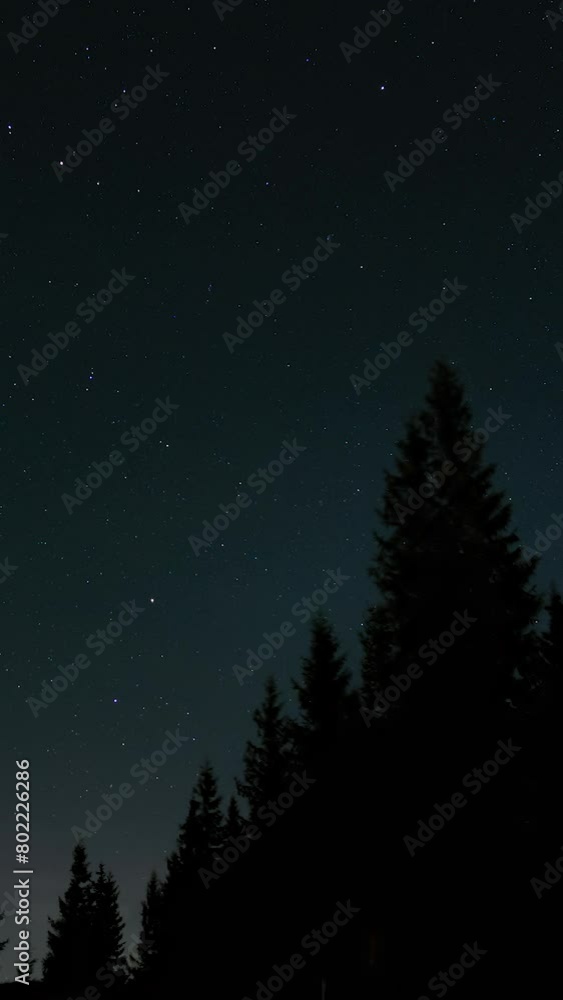 Time lapse of moving stars over a forest