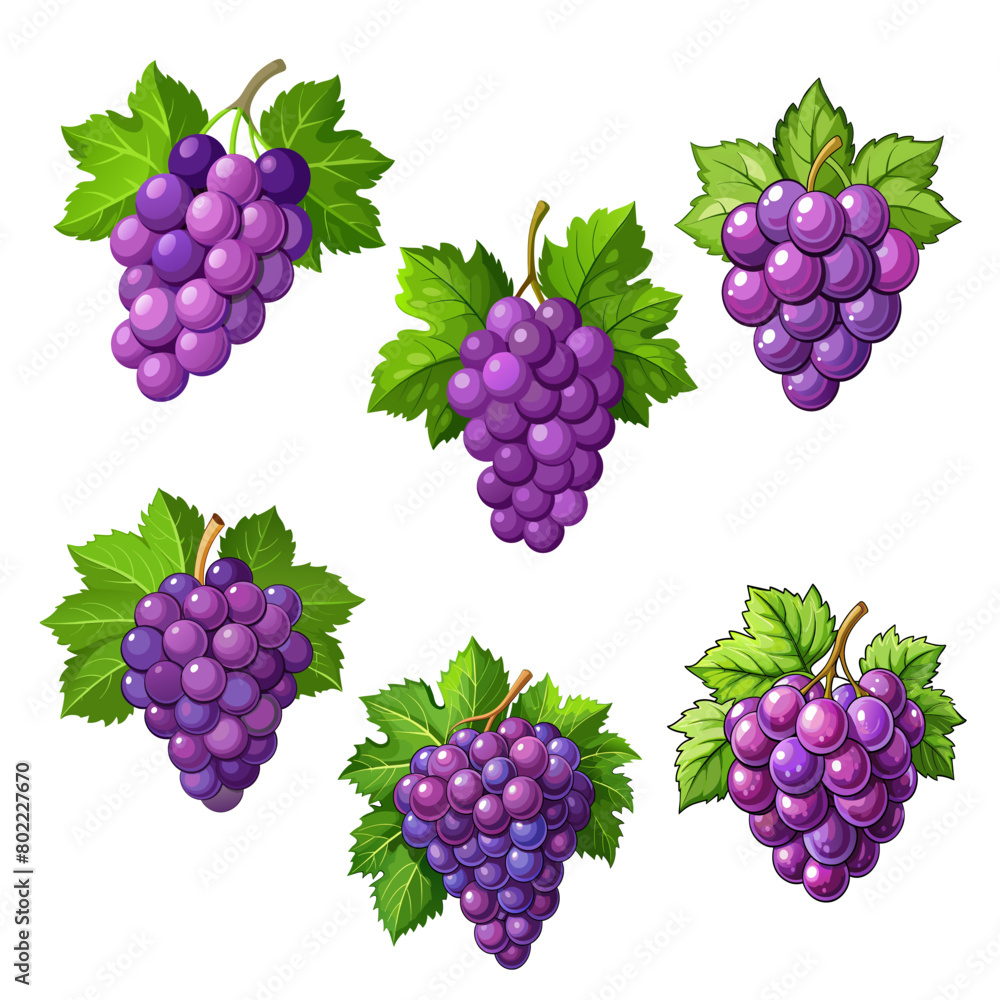 Set of red table grapes. Fresh fruit from which wine is made Set of red table grapes. Fresh fruit from which wine is made