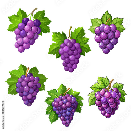 Set of red table grapes. Fresh fruit from which wine is made