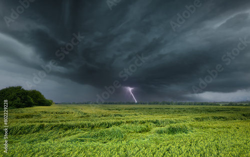 Dramatic thunderstorm over vibrant green field