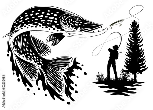 River Fishing Catching Pike in Black and White (ID: 802232038)