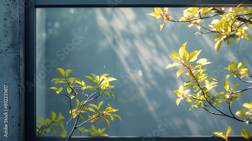 background with plants and copy space