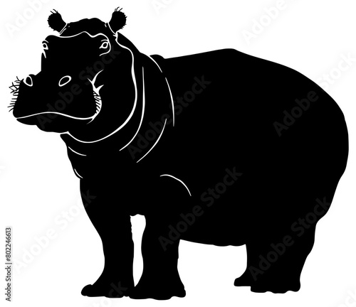 Hippopotamus illustration in black, isolated 