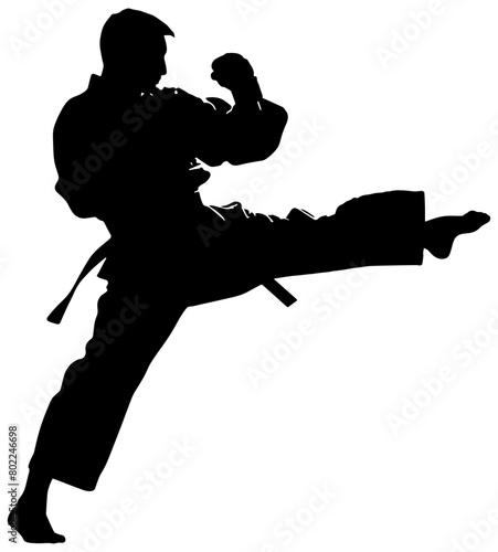 Silhouette of a man doing Tae Kwon Do, isolated  photo