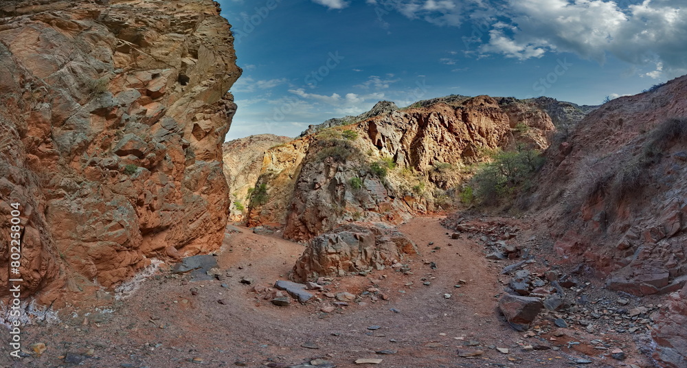 Obraz premium Northern Kyrgyzstan. Picturesque winding trails of the Kok Moinok canyons with red-brown rock along the Chu River.