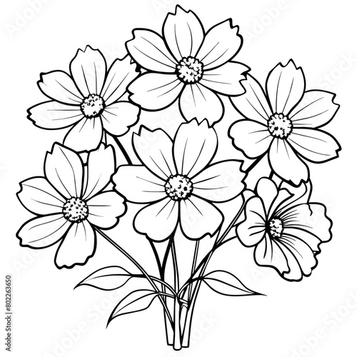 Cosmos Flower Bouquet outline illustration coloring book page design  Cosmos Flower Bouquet black and white line art drawing coloring book pages for children and adults 