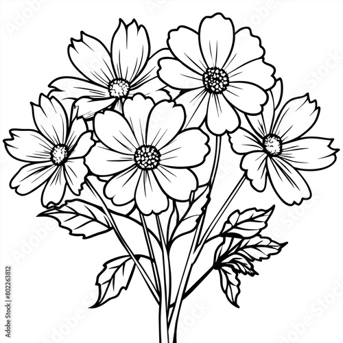Cosmos Flower Bouquet outline illustration coloring book page design, Cosmos Flower Bouquet black and white line art drawing coloring book pages for children and adults
