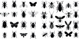 Insects silhouettes set. Black stencils shapes of bugs, outline of creatures of science entomology,