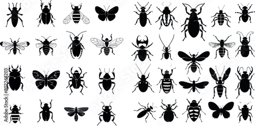 Insects silhouettes set. Black stencils shapes of bugs, outline of creatures of science entomology, © Zaleman