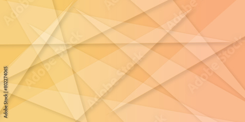 Abstract baby orange background orang abstract modern technology background design. Vector abstract graphic presentation design. orang geometric vector banner background Banner, posters, design.