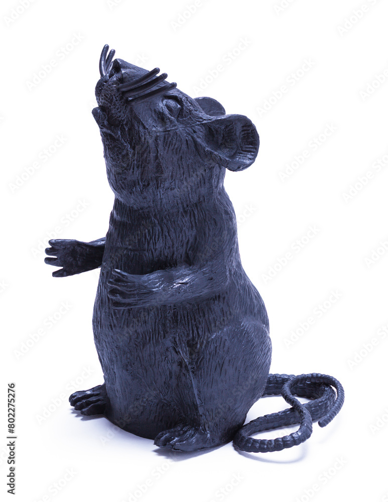 Obraz premium Rat