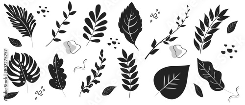 Set of various hand drawn leaves in black and white colors on a white background. Abstract natural shapes in a trendy minimalist style. Vector illustration.
