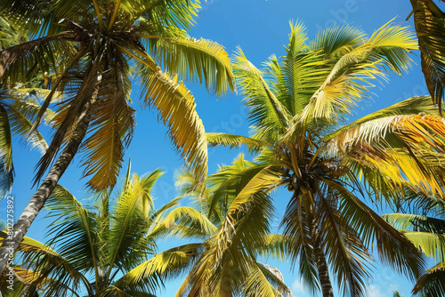 A tropical garden filled with lush coconut trees  their fronds rustling in the gentle breeze under a clear blue sky.