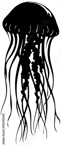 Silhouette of a jellyfish, isolated 
