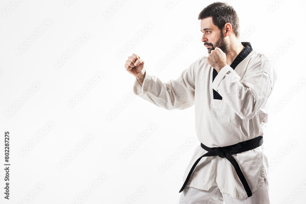 Tae kwon do fighting stance Tae kwon do fighting stance