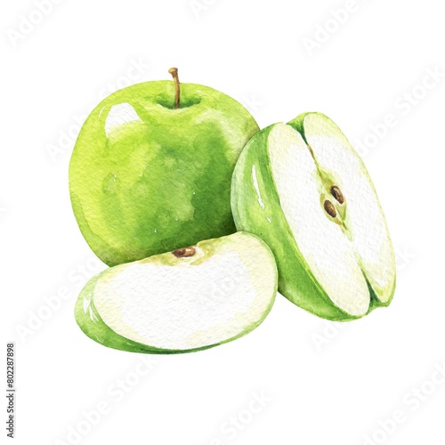 Green apple fruits watercolor illustration  (ID: 802287898)