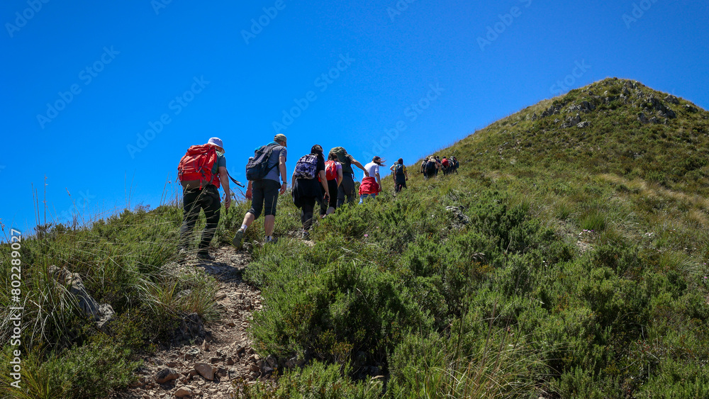 Group of hikers climbs the top of the mountain