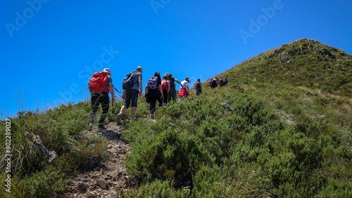 Group of hikers climbs the top of the mountain