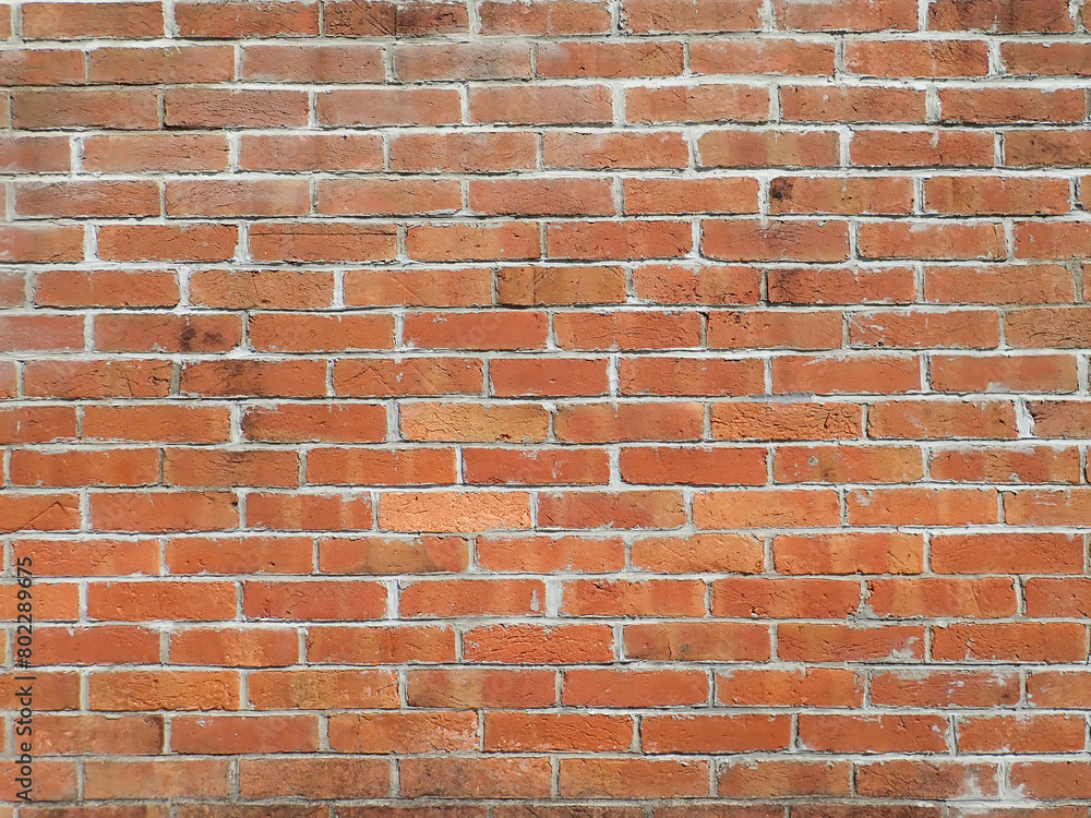 Fototapeta premium レンガの壁