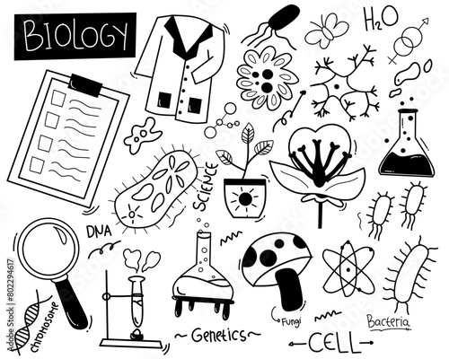 Big set of hand drawn vector biological icons, isolated on white background. Black and white kawaii 