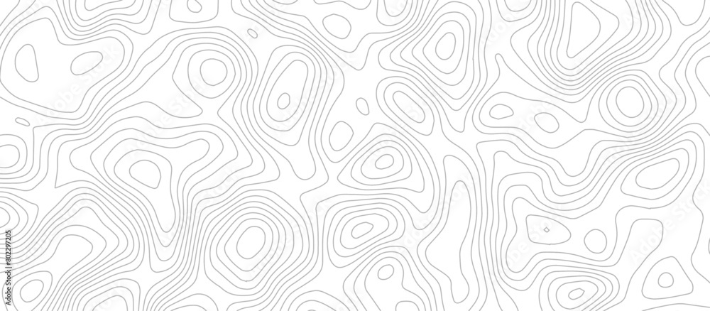 Abstract wave paper curved reliefs background .gradient multicolor wave curve lines banner background design .topographic contours map background .Vector geographic contour map. Abstract wave paper curved reliefs background .gradient multicolor wave curve lines banner background design .topographic contours map background .Vector geographic contour map.