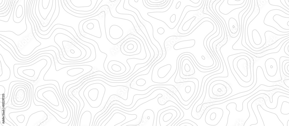 Abstract wave paper curved reliefs background .gradient multicolor wave curve lines banner background design .topographic contours map background .Vector geographic contour map.