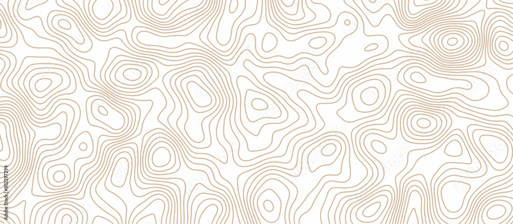 Abstract wave paper curved reliefs background .gradient multicolor wave curve lines banner background design .topographic contours map background .Vector geographic contour map. Abstract wave paper curved reliefs background .gradient multicolor wave curve lines banner background design .topographic contours map background .Vector geographic contour map.