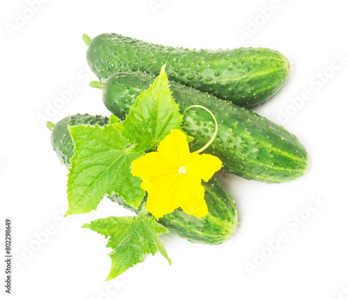 Fresh green cucumber with leaf and flower natural vegetables organic food isolated on white background.
