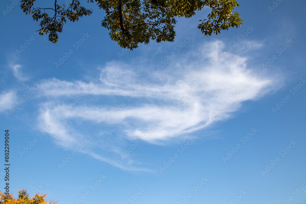 Obraz premium 풍경