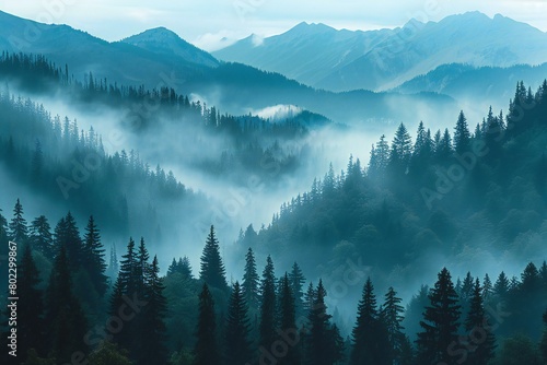 Foggy mountains landscape with coniferous forest in the morning