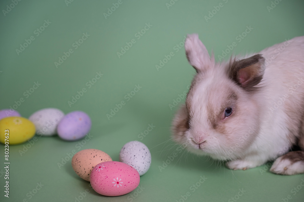 Naklejka premium Easter Bunny on a green background with colorful painted eggs.