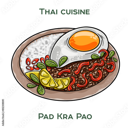Traditional Thai food. Pad Kra Pao on white background. Isolated vector illustration.