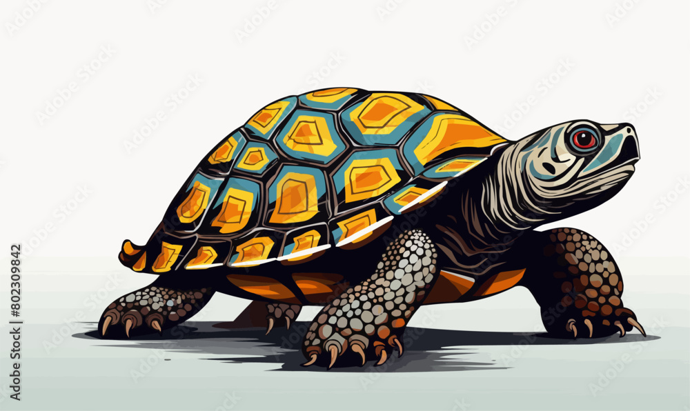 Obraz premium Turtle isolated vector style on isolated background illustration