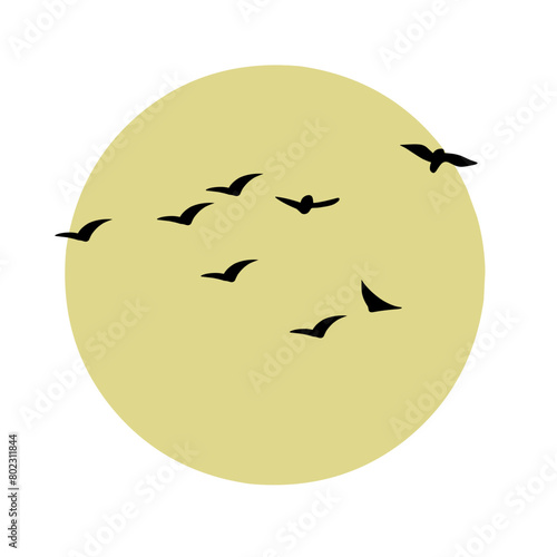 silhouette of a birds flying