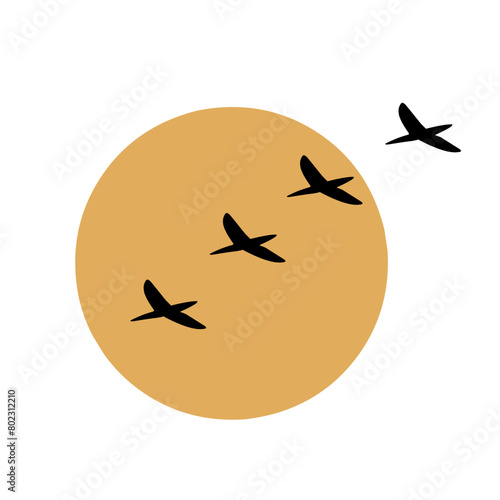 silhouette of a birds flying