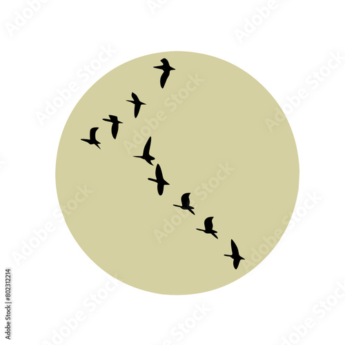 silhouette of a birds flying