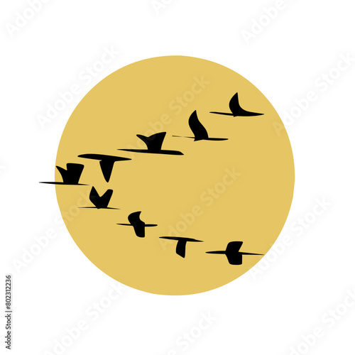 silhouette of a birds flying