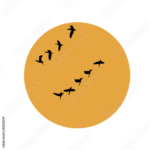 silhouette of a birds flying